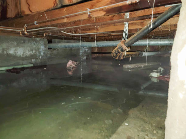 Reliable Monett, MO Water damage restoration Solutions