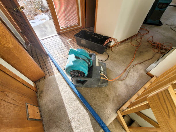  Nett, MO Water damage restoration Pros