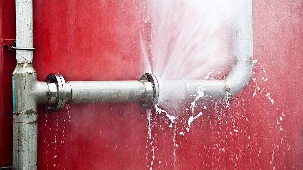 Best Flood restoration services  in Nett, MO